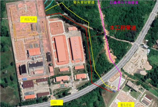 ed_1743476242750021.png 1.png